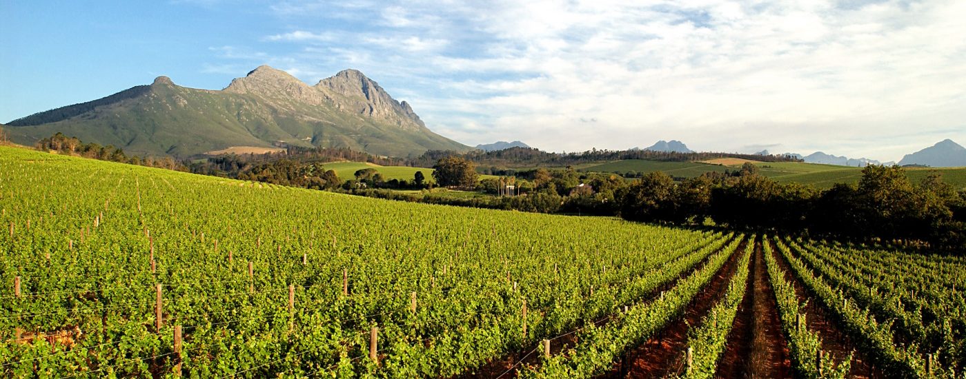 Stellenbosch