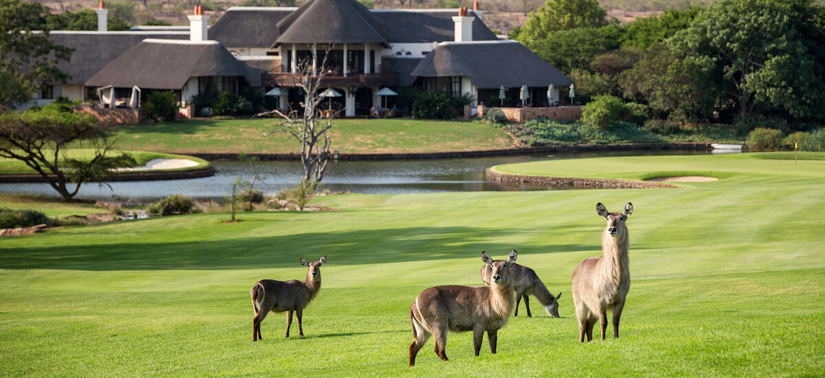 leopard-creek-South-Africa-5