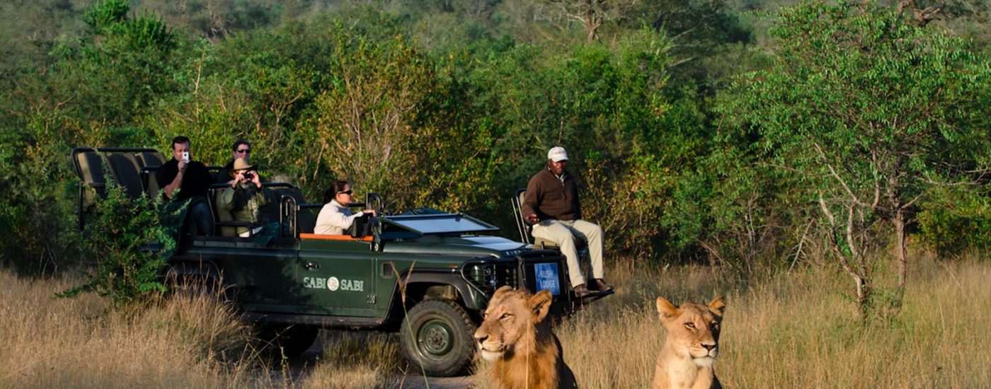 Earth-Lodge-Sabi-Sabi-South-Africa-Safari-1