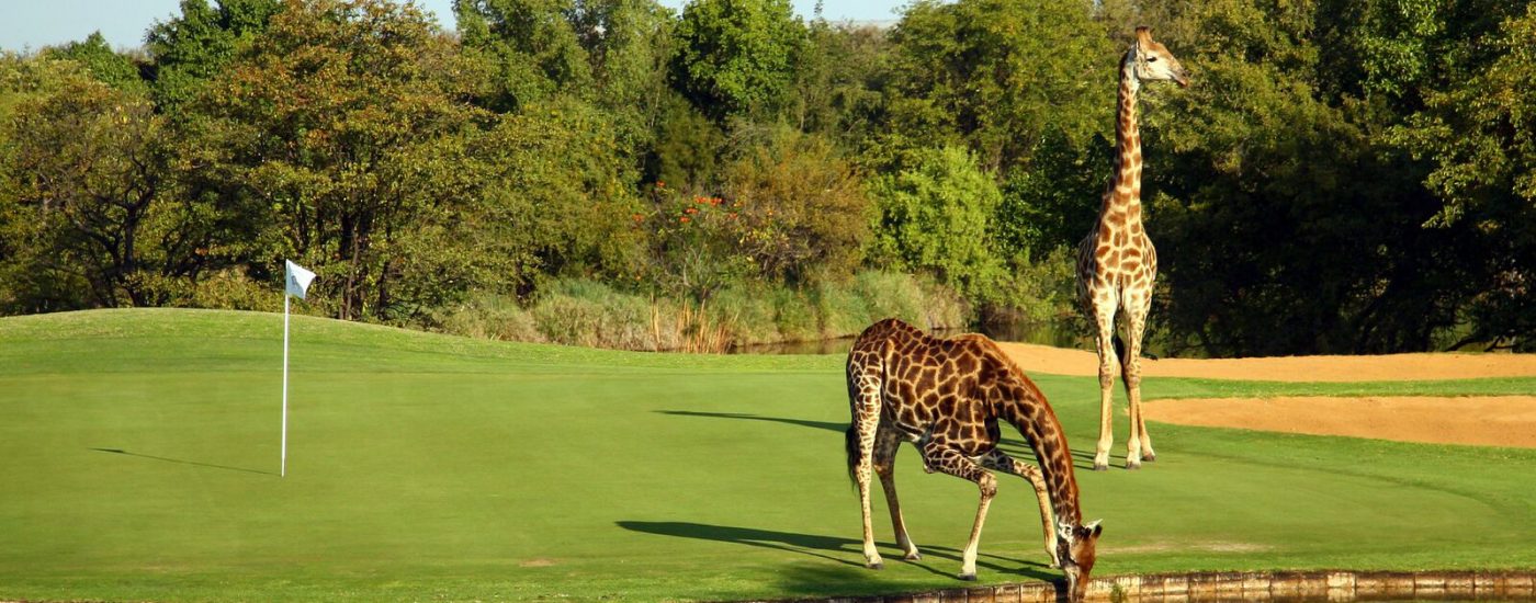 Hansmerensky-Hotel-Spa-Golf-Course-Large