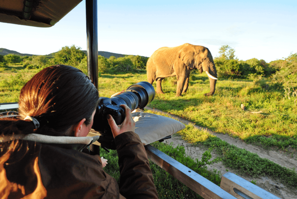 Pro-Photo-Safari-Package-Shamwari-1