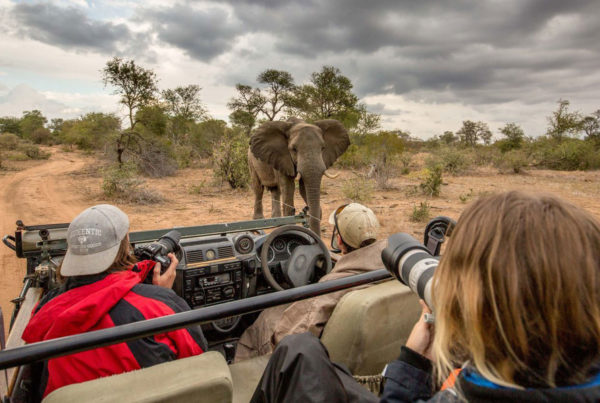 big-5-volunteer-wildlife-conservation-south-africa-AMAZESAFARI0717