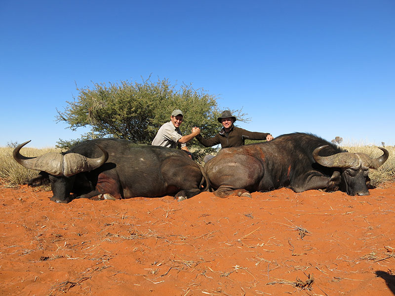 chapungu-south-africa-dangerous-game-16-1